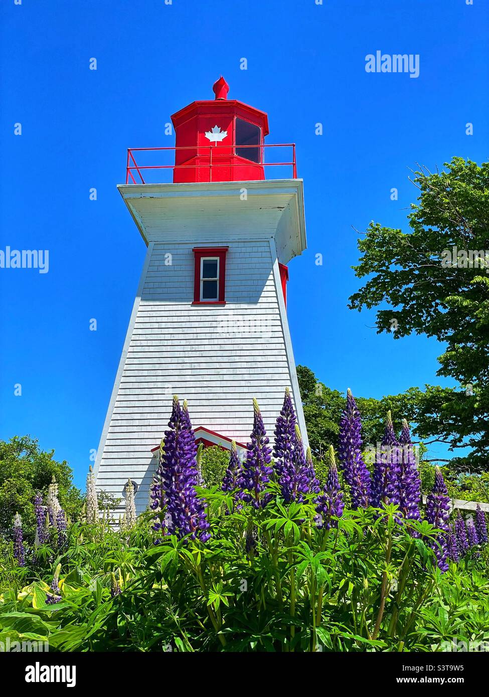 Victoria près du phare de la mer, Île-du-Prince-Édouard, Canada. - Image de stock capturée avec un smartphone