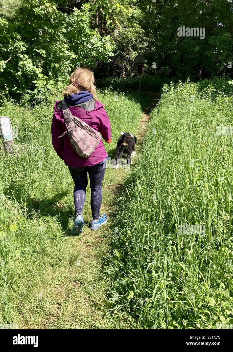 Belle journée pour une randonnée dans Fletcher Wildlife Gardens. Banque D'Images