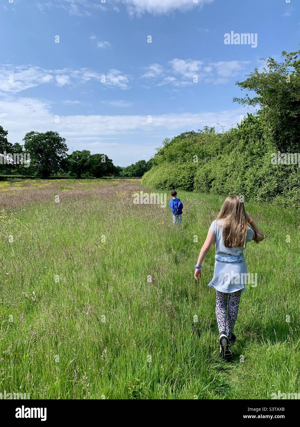 Enfants marchant dans la prairie d'été Banque D'Images