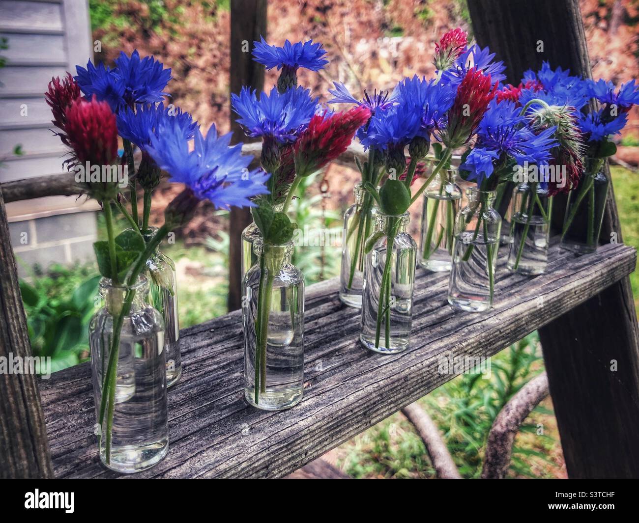 Rouge, blanc et bleu dans de minuscules flacons en verre alignés sur un échelon du jardin Banque D'Images