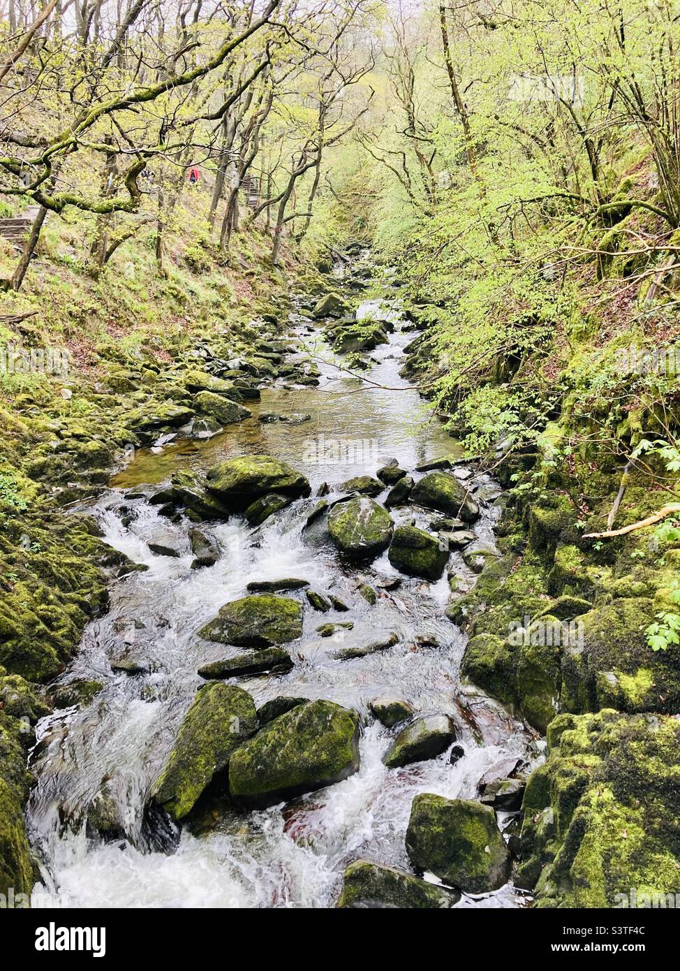 Cascade de la rivière Doe Banque D'Images