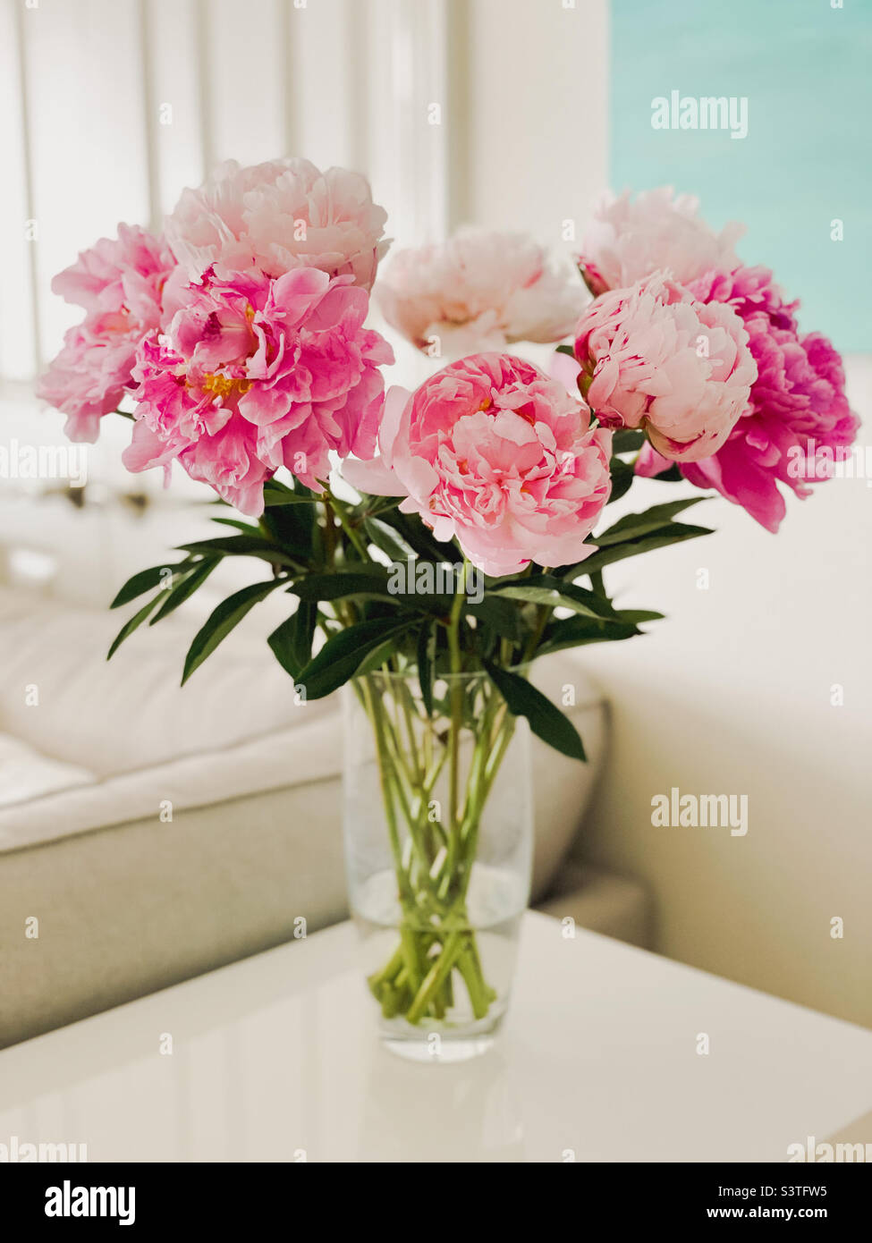 Gros plan d'un bouquet de fleurs de pivoine rose fraîchement coupées dans un vase en verre sur une table de console blanche. Banque D'Images