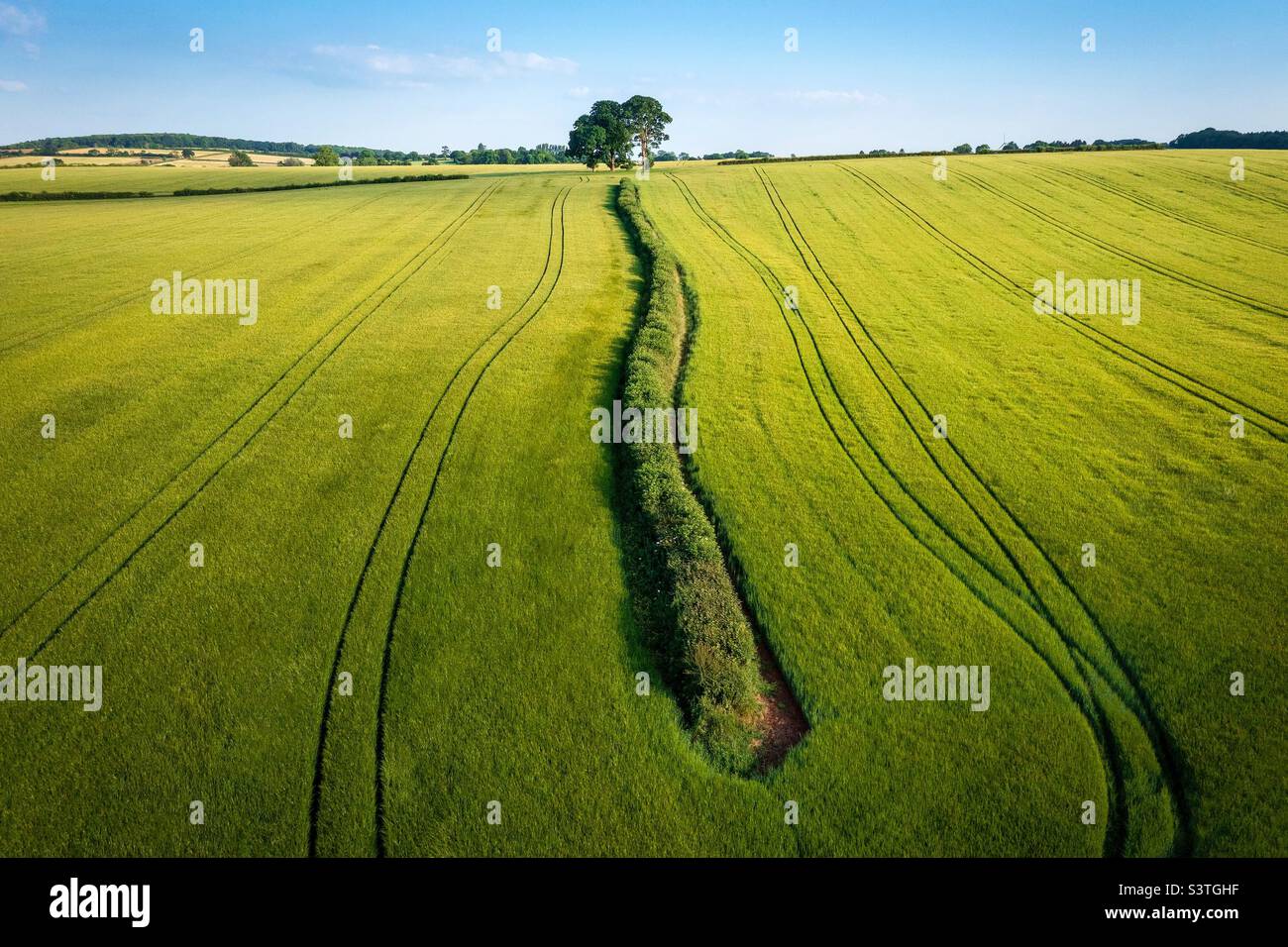 Ligne de tête. Banque D'Images