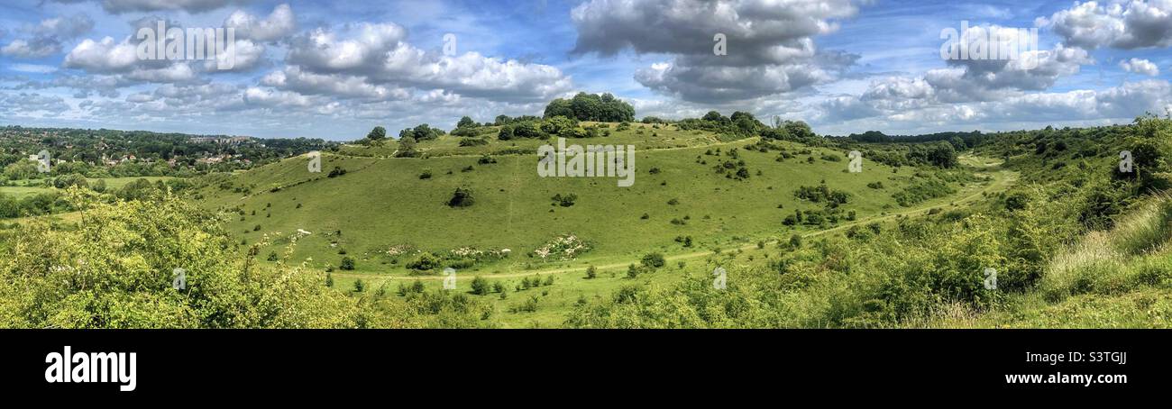 Réserve naturelle de St Catherine's Hill au printemps. Winchester Hampshire Royaume-Uni - Image de stock capturée avec un smartphone