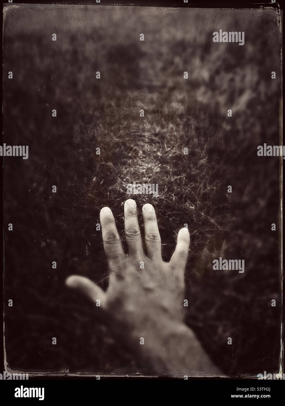 Image d'une main contre un champ. Modifié pour lui donner un aspect rétro tintype photo - Image de stock capturée avec un smartphone
