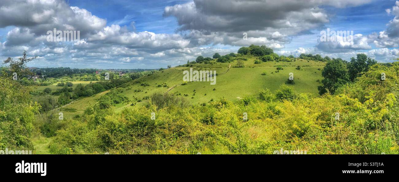 Réserve naturelle de St Catherine's Hill, Winchester, Hampshire, Royaume-Uni - Image de stock capturée avec un smartphone