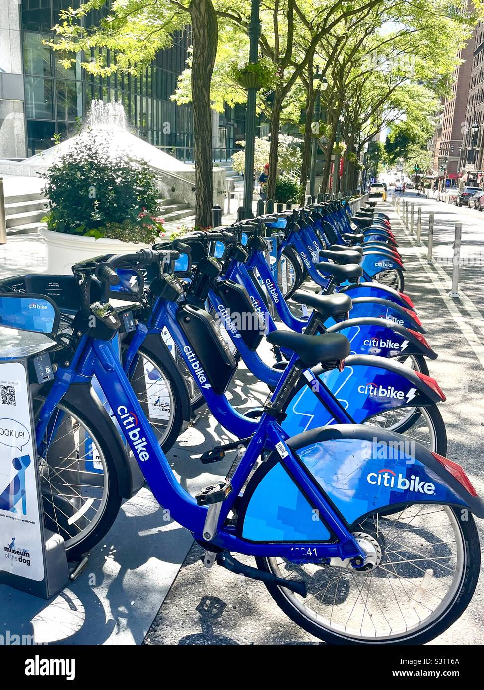 Une rangée de vélos bleus quotidiens sur une rue arborée à New York - Image de stock capturée avec un smartphone