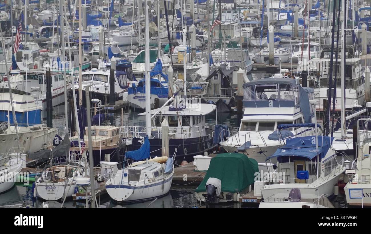 Des dizaines de bateaux amarrés au port de Santa Barbara, créant un modèle abstrait de mâts et de coques. Couleur. Banque D'Images