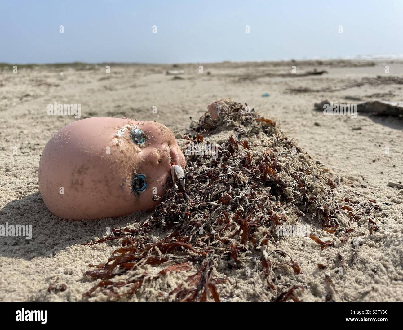 Tête de poupée de plage créepy avec le barnacle Banque D'Images