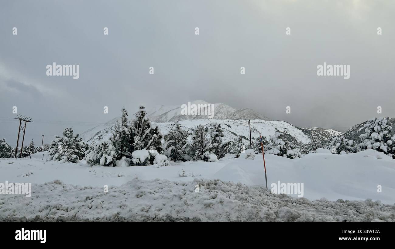 Des nuages bas au-dessus des montagnes avec des pins couverts de neige en premier plan, par temps froid, en hiver, près de la station de ski et de surf des neiges de Mammoth Lakes, en Californie - Image de stock capturée avec un smartphone