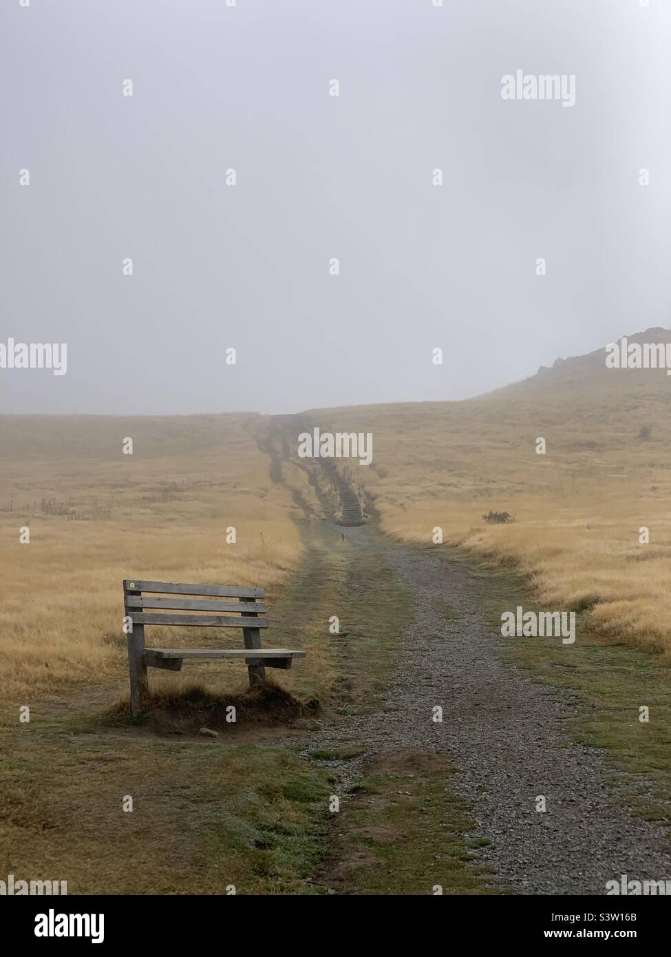 Banc isolé le long d'un sentier brumeux menant à l'observatoire de Mt John, Nouvelle-Zélande Banque D'Images