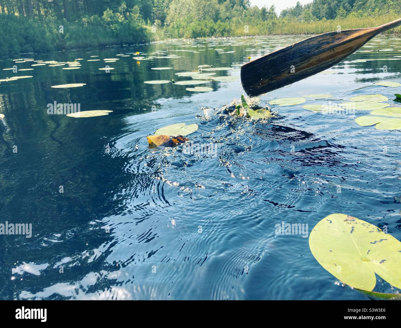 Un canoë paddle sur un lac suédois en été Banque D'Images