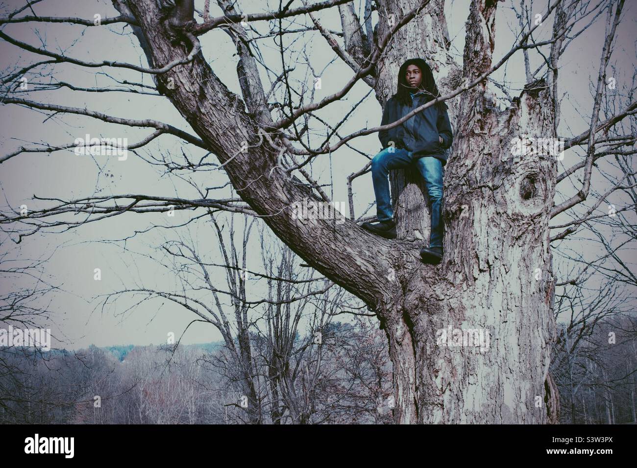 Pensées profondes dans un grand arbre Banque D'Images