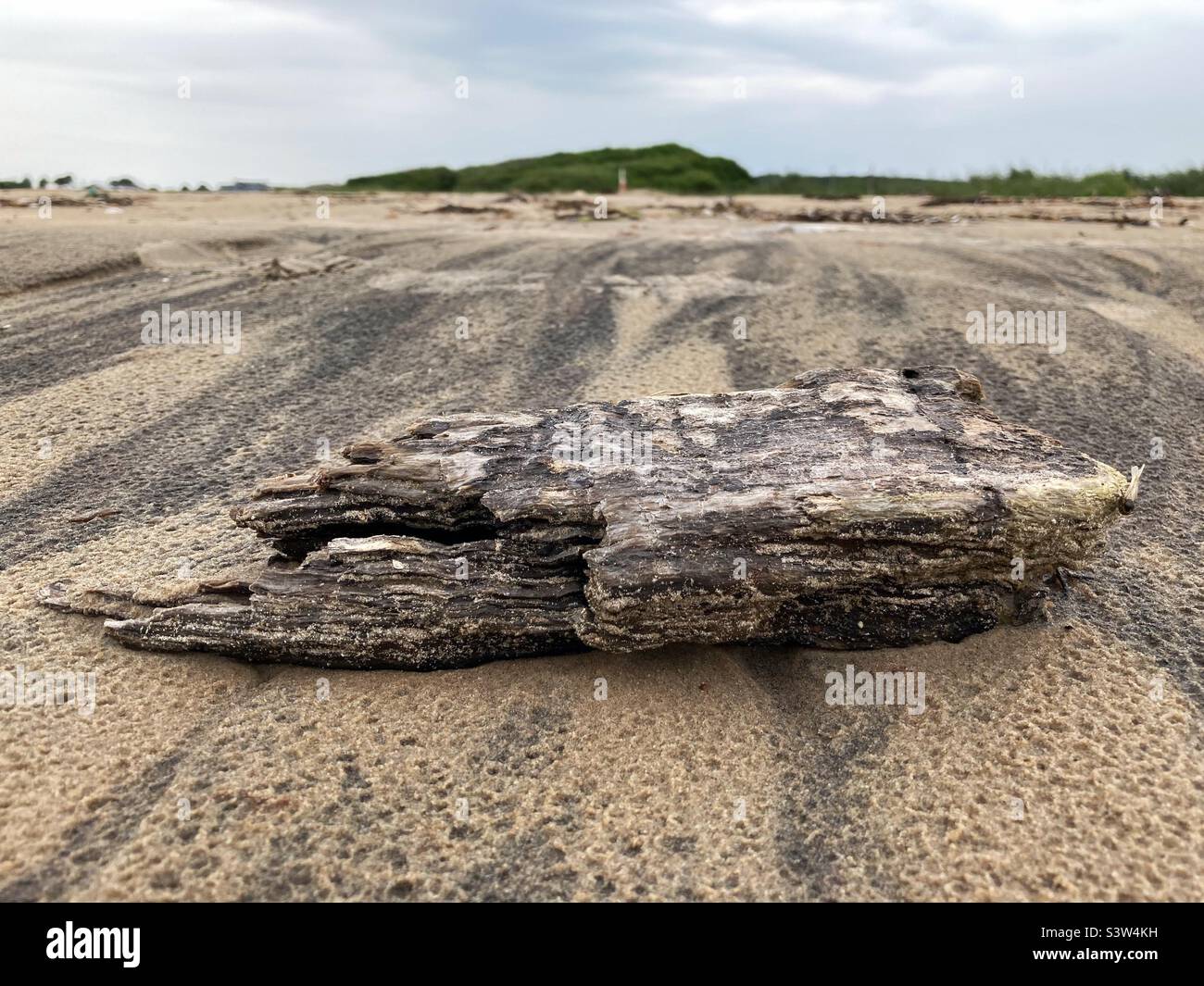 Une pièce de bois abîmé située sur une plage de sable sur la côte ouest de la Suède Banque D'Images