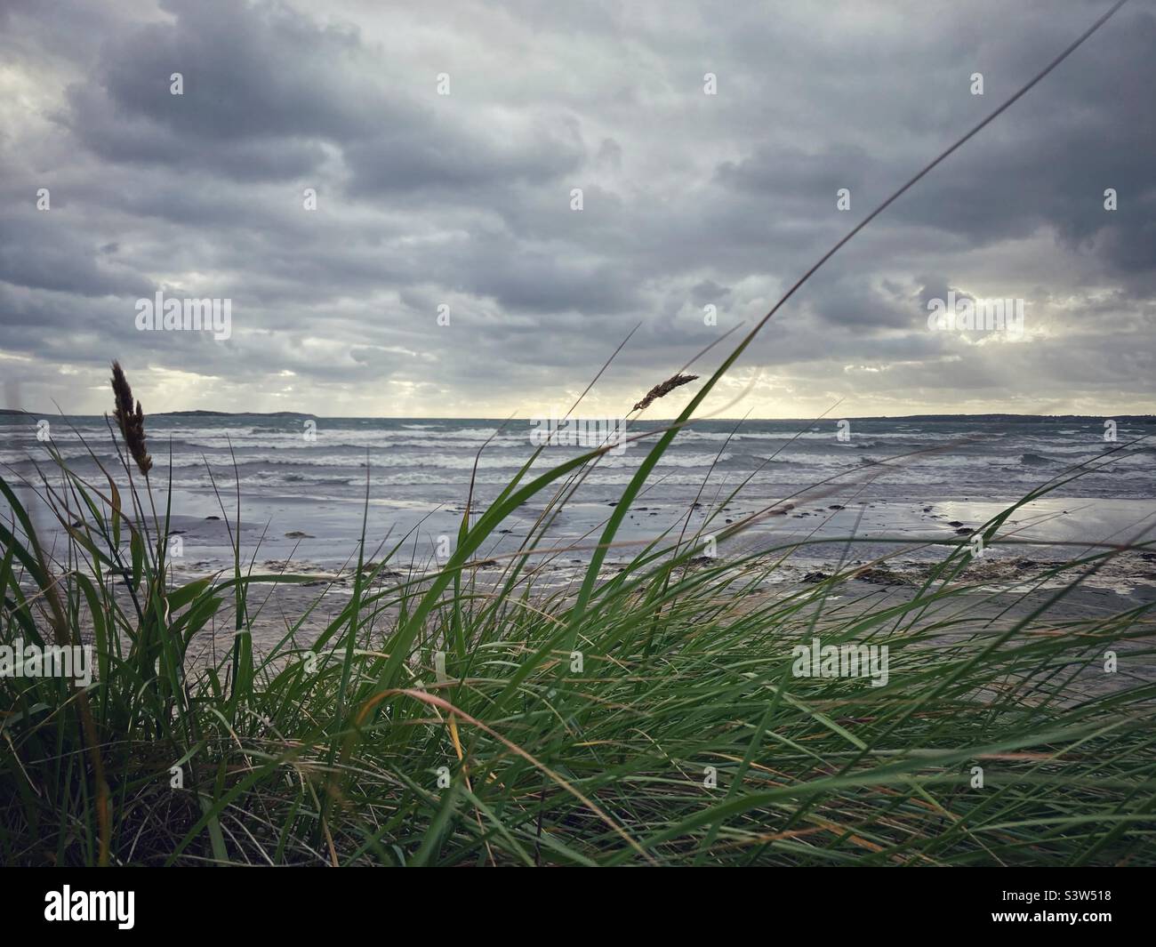 Herbe sur la mer Baltique sur la côte ouest de la Suède pendant une tempête - Image de stock capturée avec un smartphone