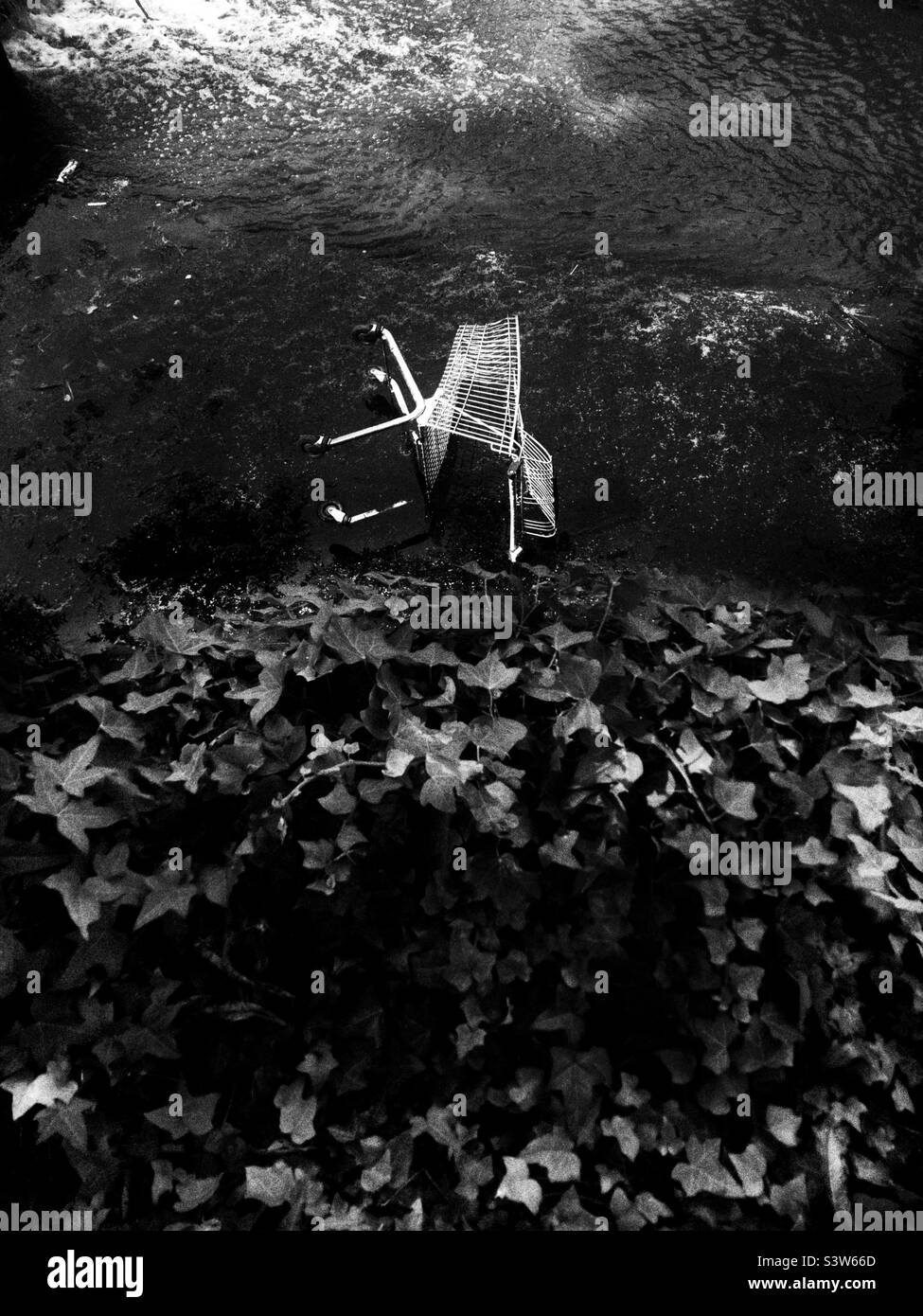 Un chariot de shopping a été jeté dans un étang Banque D'Images