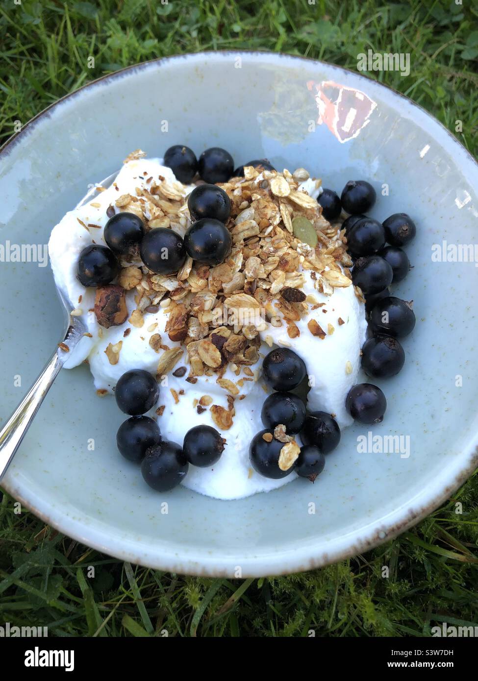 Un bol de yaourt, de muesli et de cassis frais. Banque D'Images