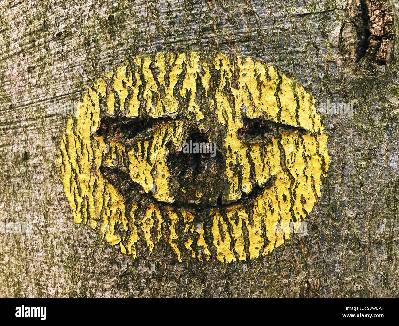 Un point jaune sur un arbre indiquant un sentier de randonnée avec la bouche, les yeux et un nez sculpté, ressemblant à un smiley grotesque Emoji Banque D'Images