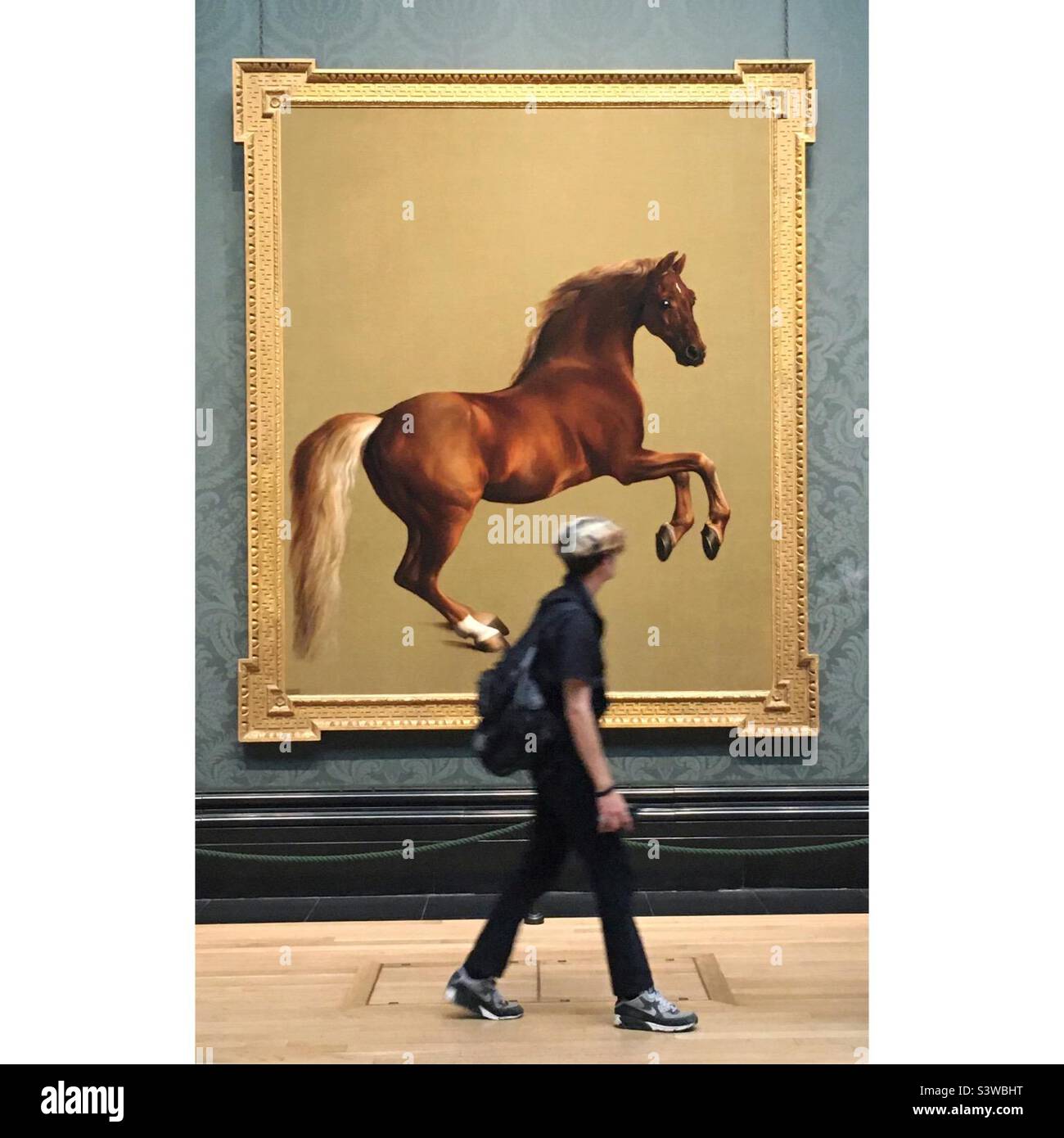 George Stubbs présente un cheval, un blouson de sifflet, dans la National Gallery de Londres Banque D'Images