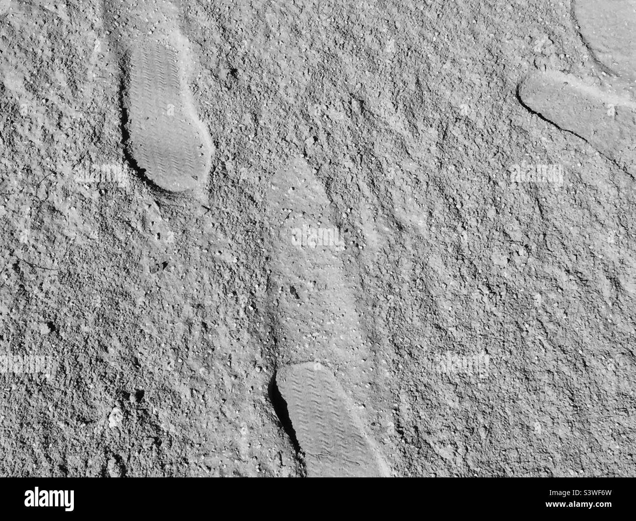 Empreintes de pieds séchés à Key West en Floride. Banque D'Images