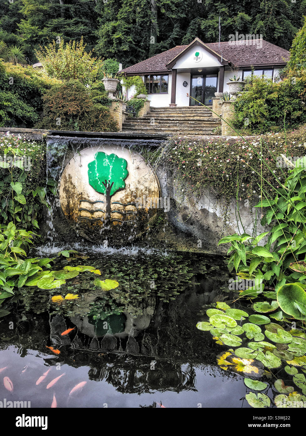 Carp Pond at the Pines Garden, St Margrets Bay, Kent Banque D'Images