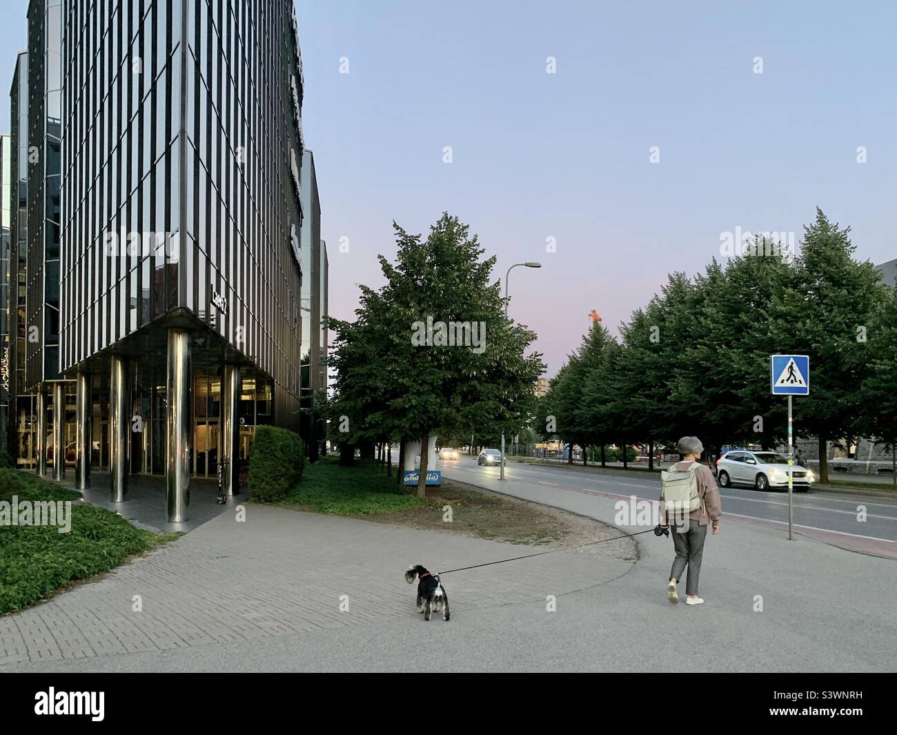 Femme marchant chien dans la ville moderne dans la soirée - Image de stock capturée avec un smartphone