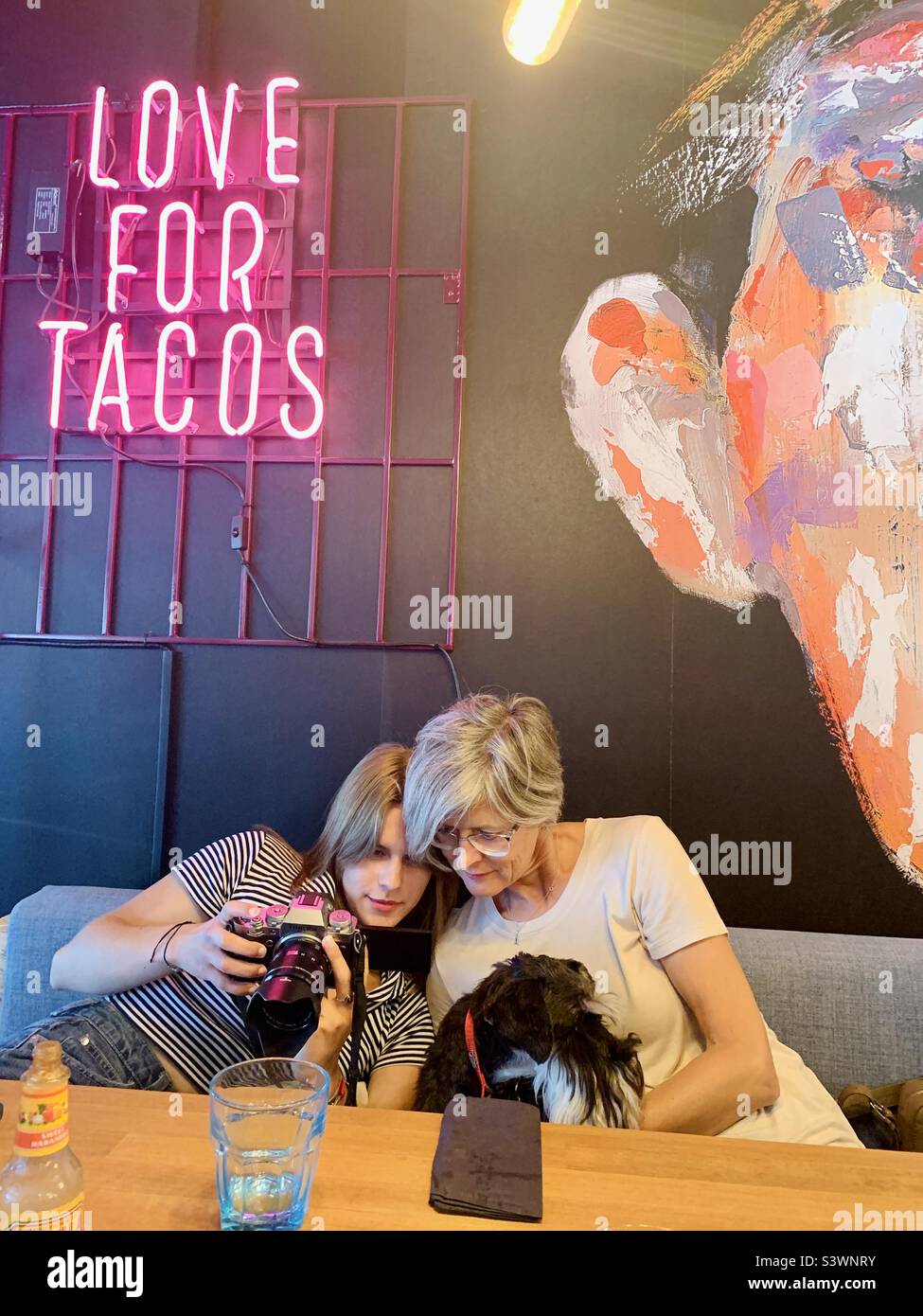 Mère et fille tenant leur chien et bavardant au restaurant tacos Banque D'Images