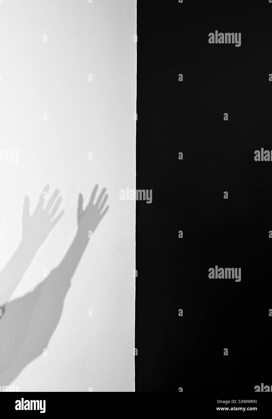 Noir et blanc Banque D'Images