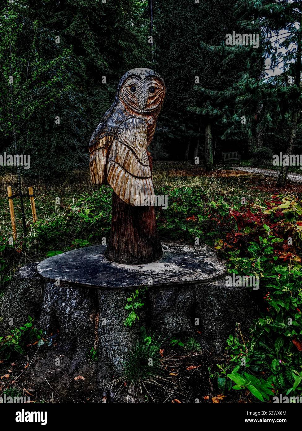 Sculpture en bois de hibou Banque de photographies et d’images à haute