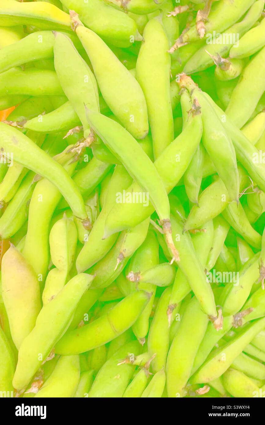 Vue délavée des haricots fava frais jaune vif et vert à vendre au centre de produits locaux. - Image de stock capturée avec un smartphone