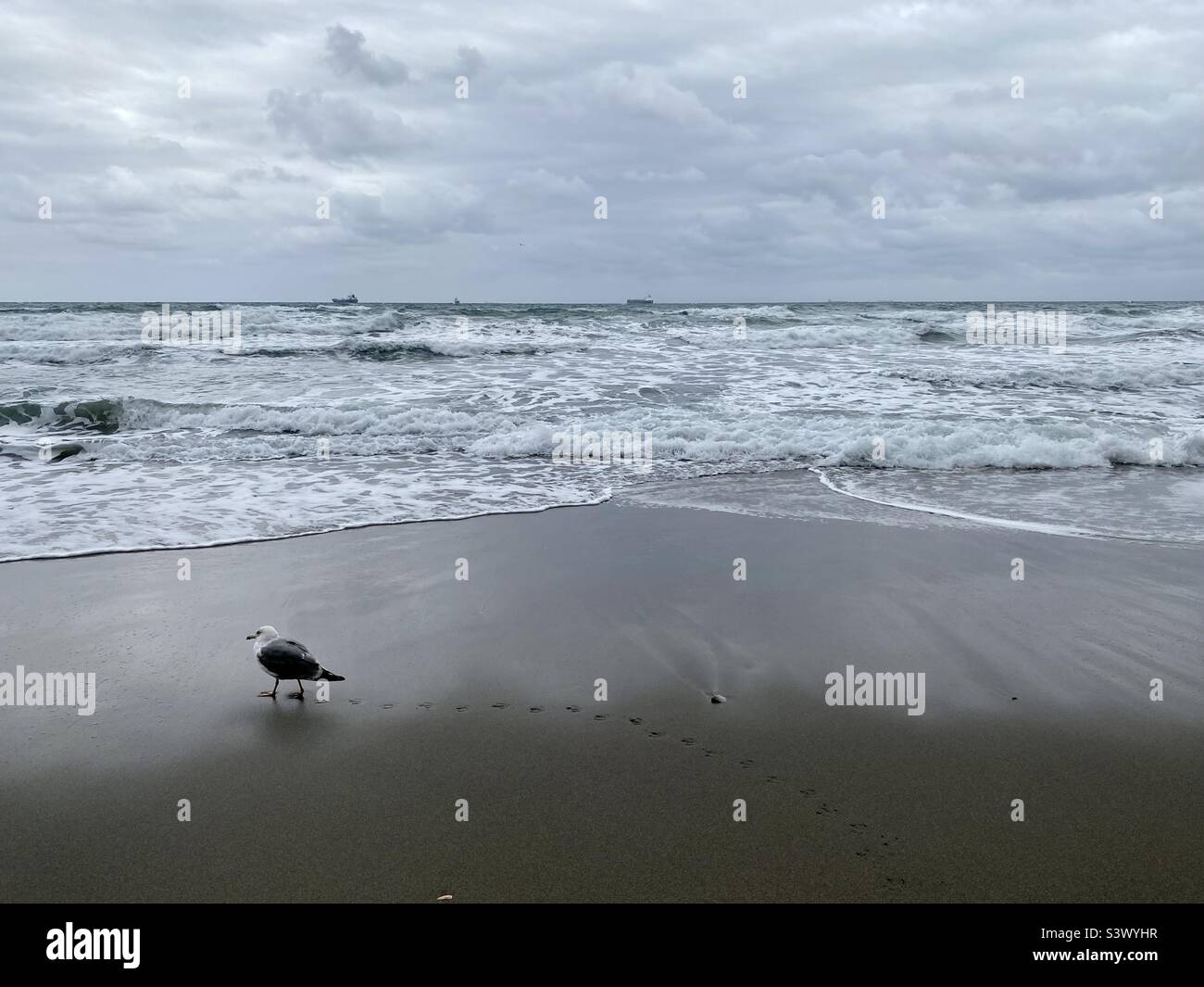 Scène de plage d'hiver avec ciel gris et mer Banque D'Images