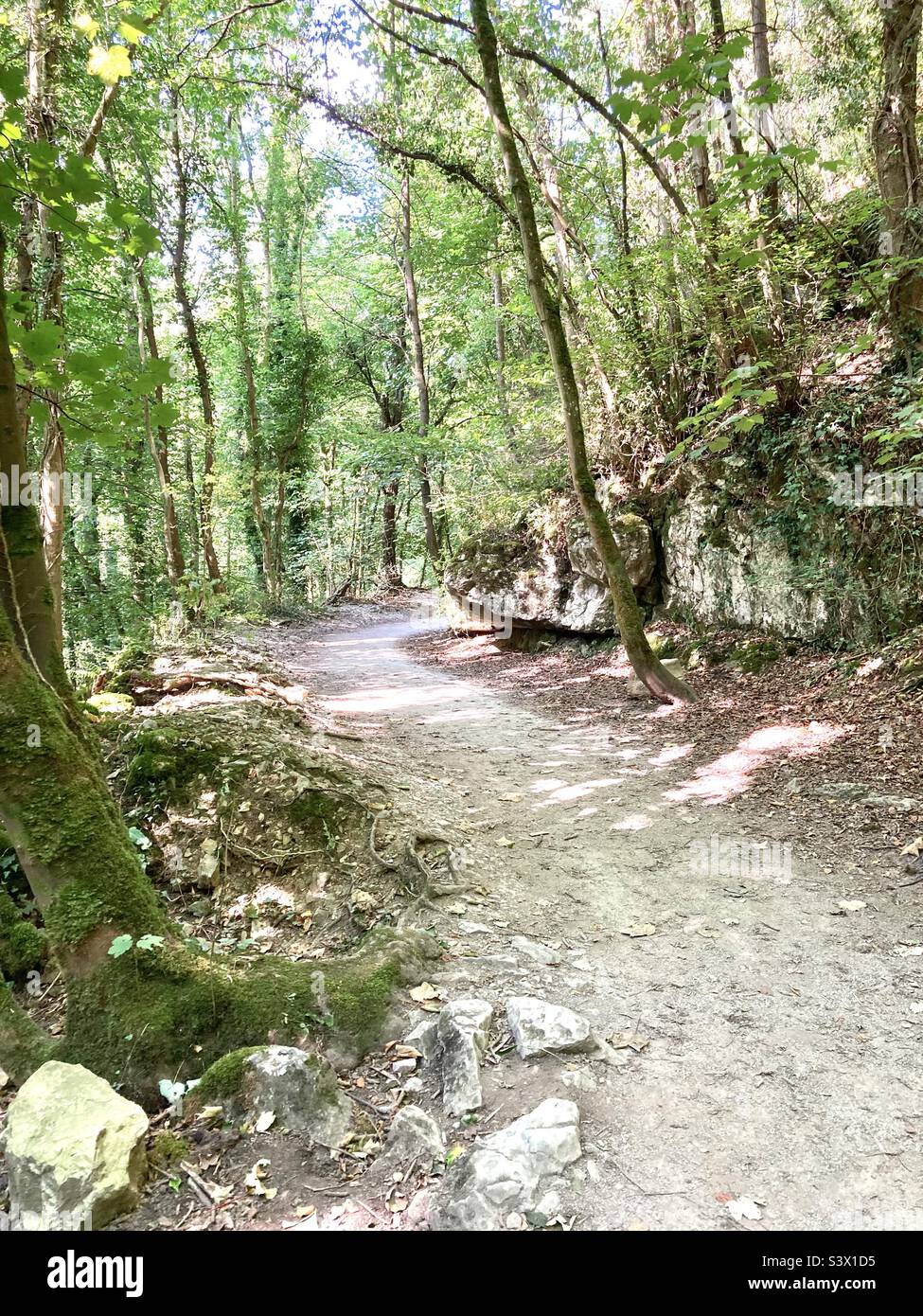 Promenade à travers les bois Banque D'Images
