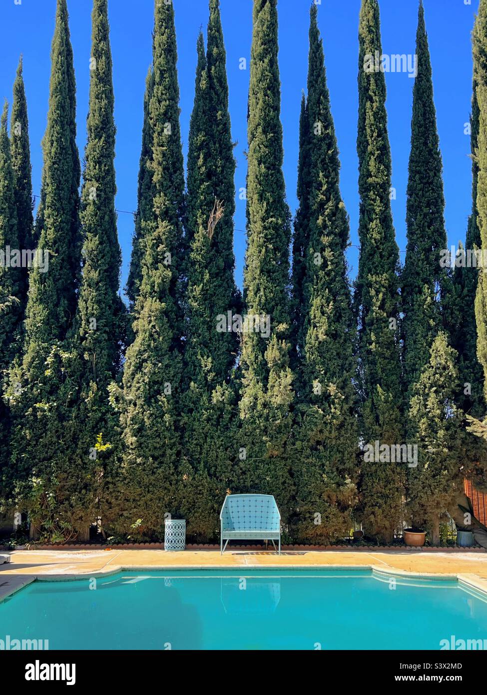 Piscine moderne du milieu du siècle dans une maison à Los Angeles, Californie Banque D'Images