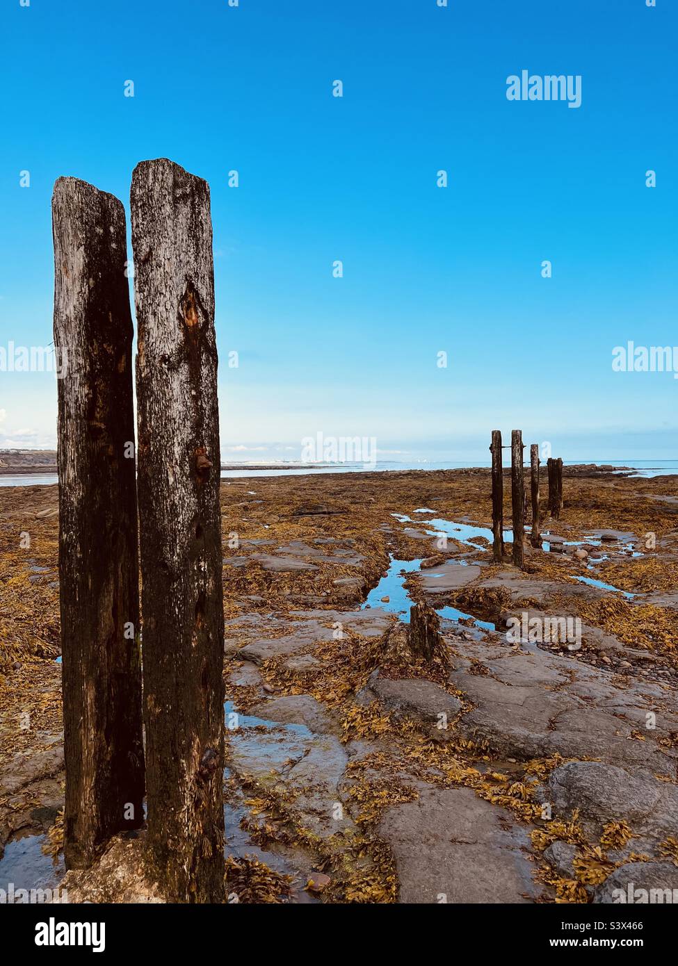 Poteaux en bois à la plage Banque D'Images