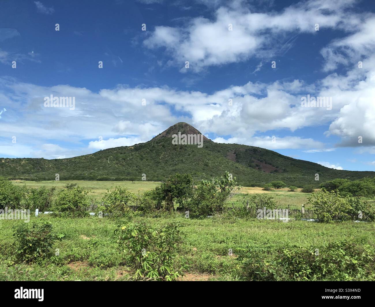 Un paysage luxuriant au Brésil. Banque D'Images