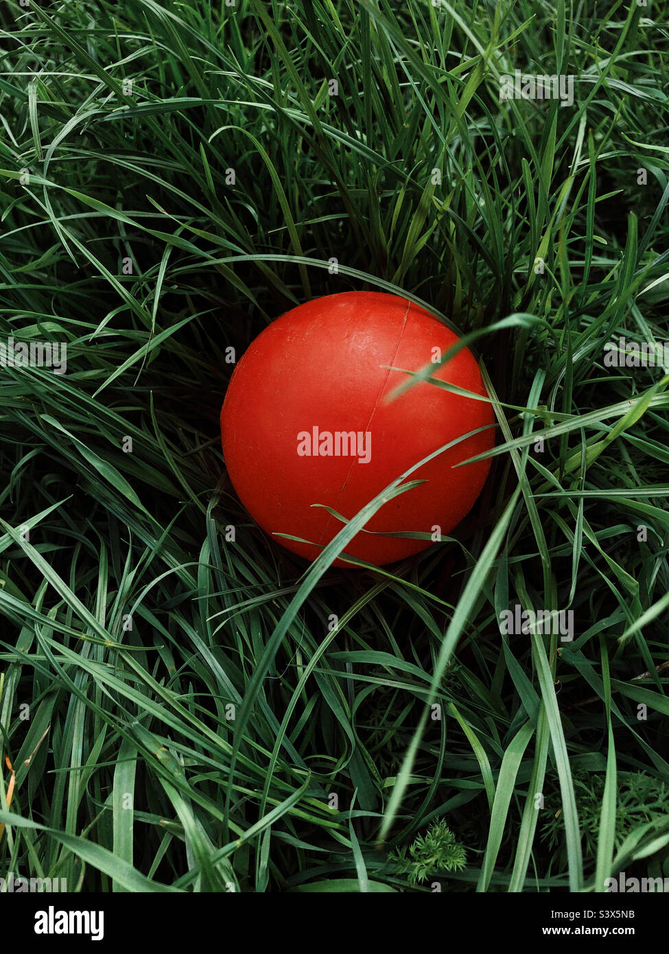 Boule en plastique rouge au milieu de l'herbe verte Banque D'Images