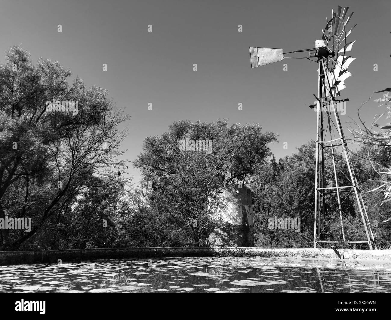 Une journée de gris à la ferme. Banque D'Images