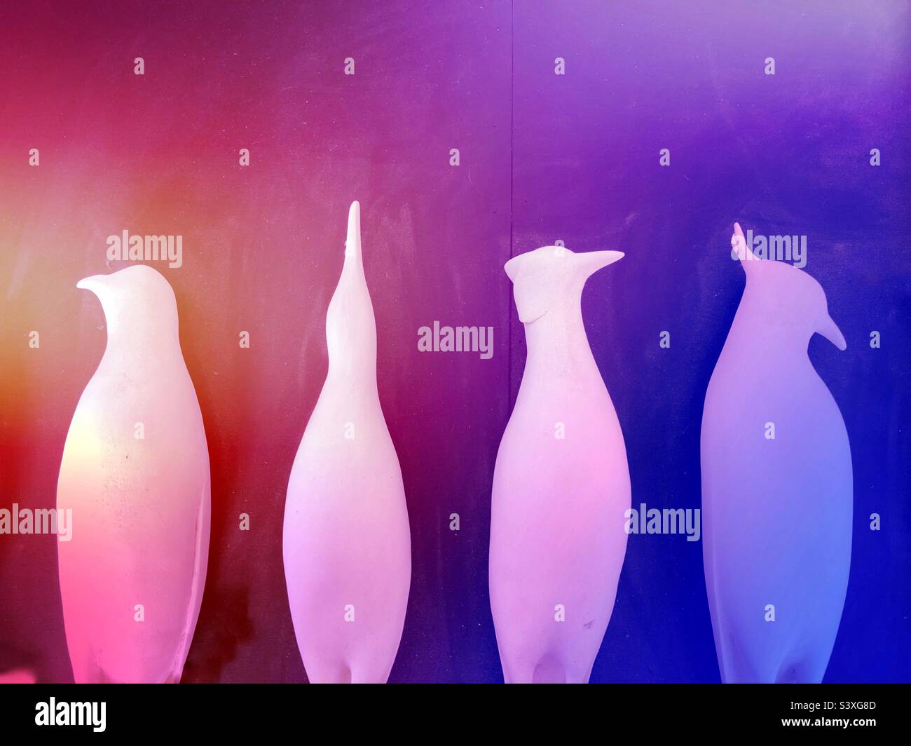 Le contour et la forme des oiseaux dans une rangée avec un arrière-plan rouge et bleu coloré avec espace de copie - Image de stock capturée avec un smartphone