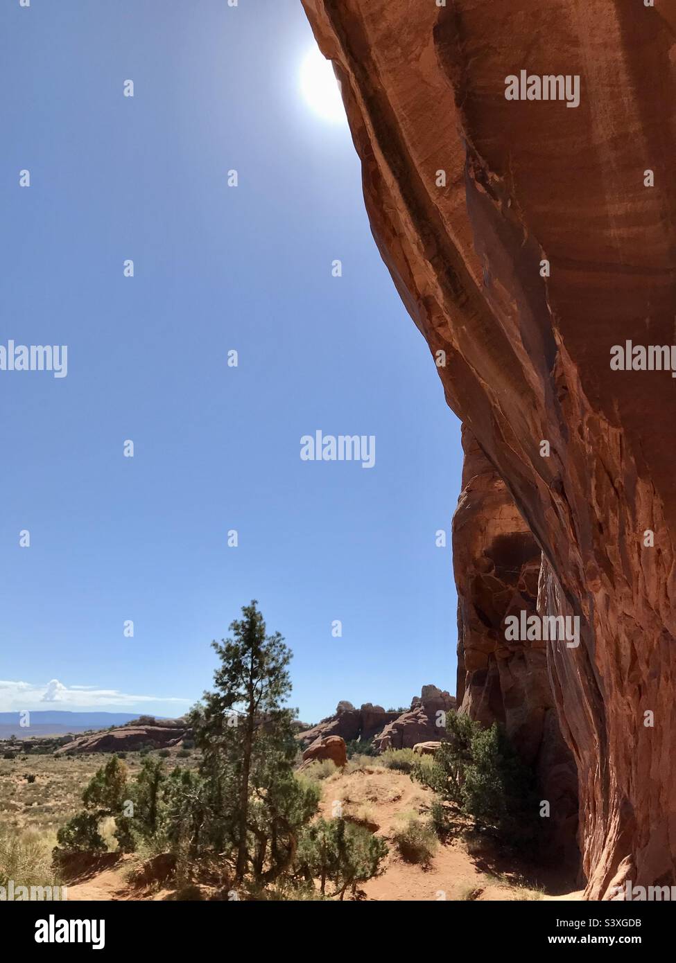 A travers l'arche de pin, arches National Park Banque D'Images