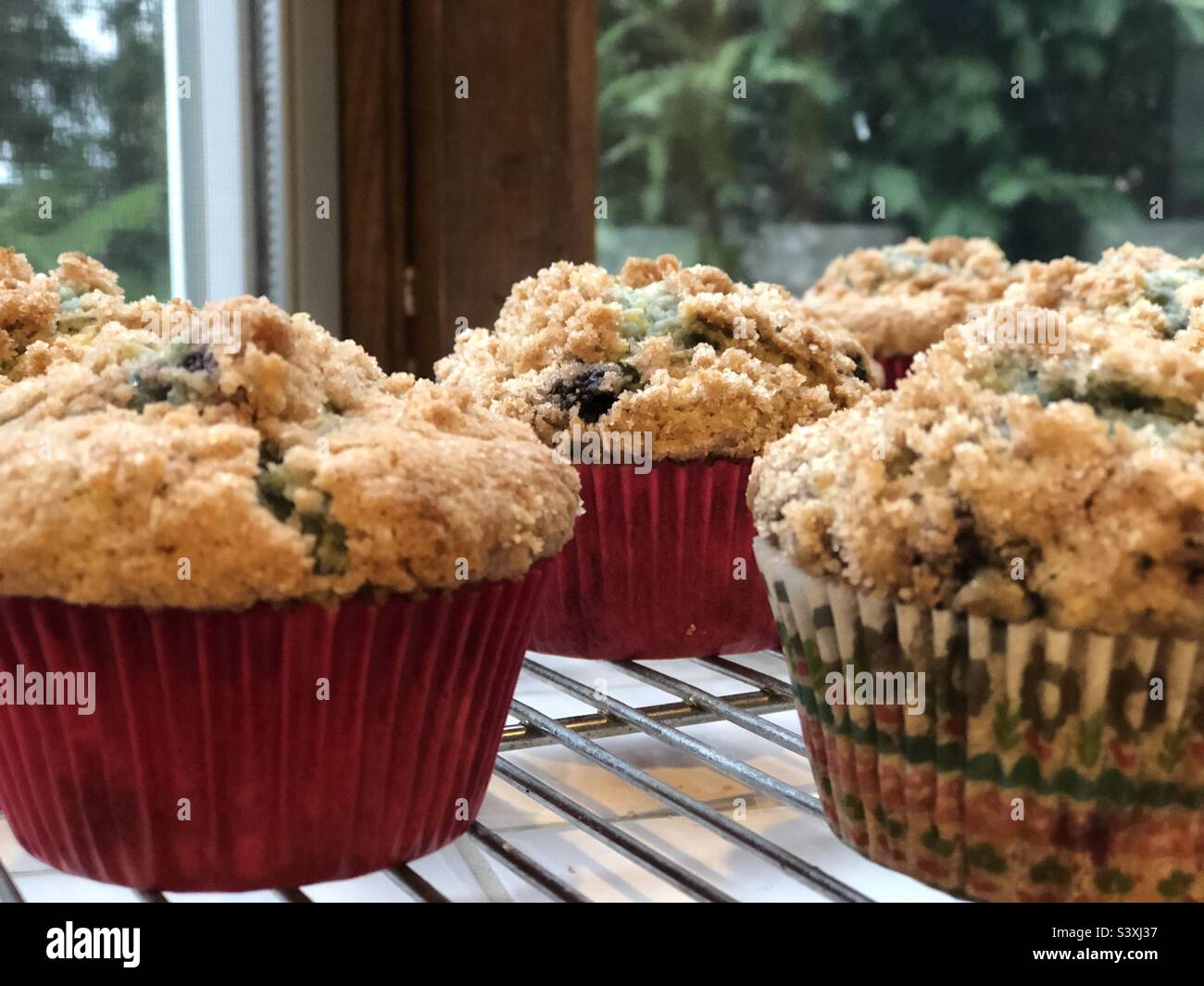 Muffins aux myrtilles Banque D'Images