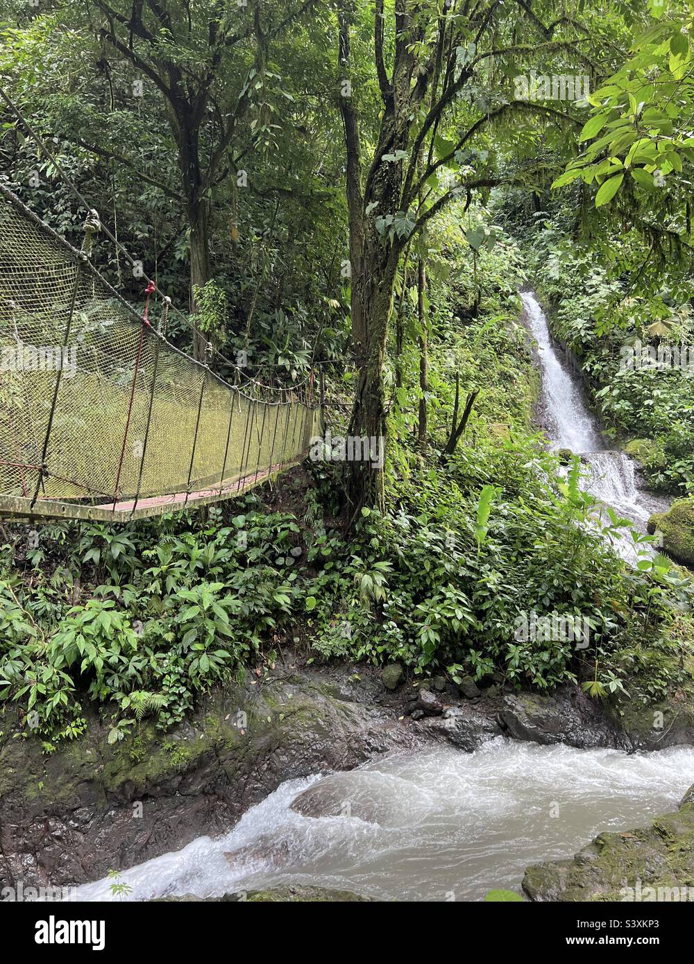 Pont suspendu avec chute d'eau et paysage tropical à la forêt tropicale Rainmaker au Costa Rica Banque D'Images