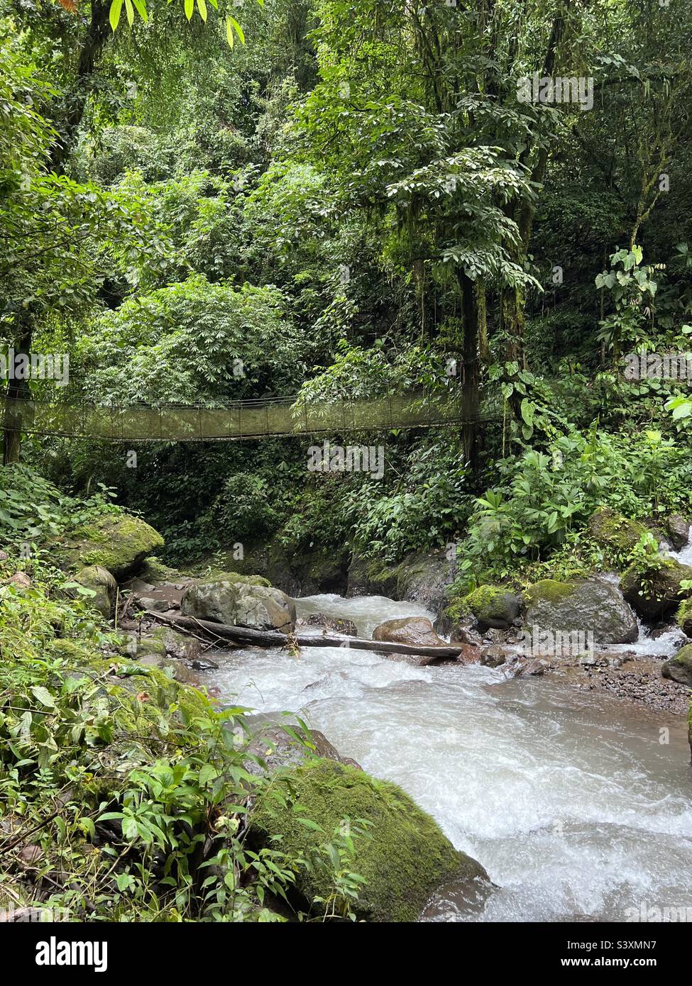 Cascade à la forêt tropicale de Rainmaker, Costa Rica Banque D'Images