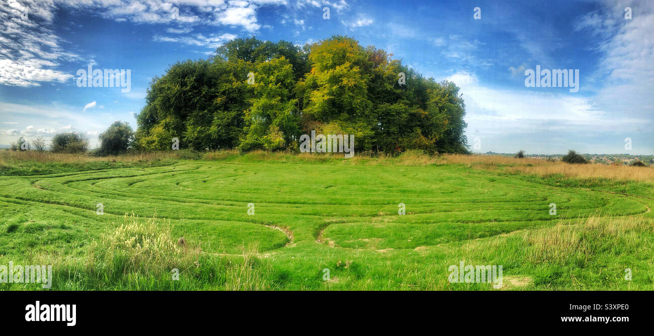 Le labyrinthe et la copte d'arbres au sommet de la colline de Sainte Catherine à Winchester Hampshire Royaume-Uni - Image de stock capturée avec un smartphone