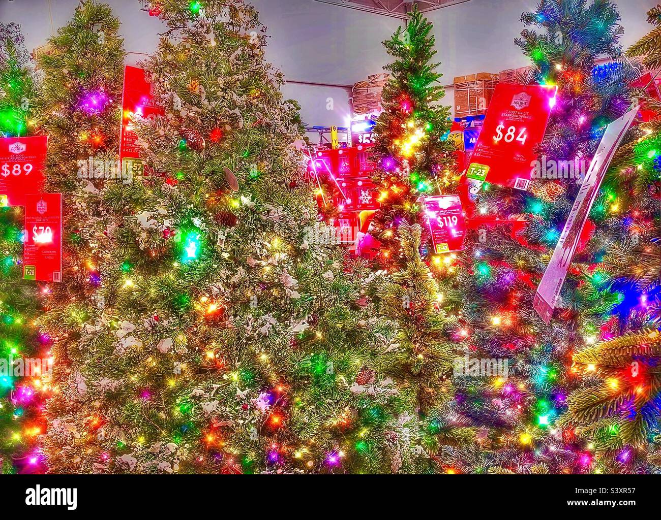 Noël arrive tôt dans le monde de la vente au détail. Différents styles d'arbres artificiels sont exposés et en vente dans un Walmart local de l'Utah, aux États-Unis. L'application IOS Kirakira a été utilisée pour ajouter numériquement de la lumière et de l'éclat Banque D'Images