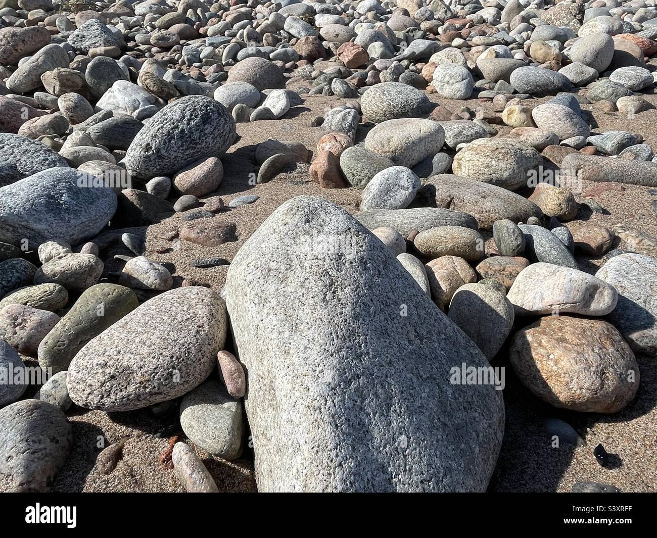 Rocky Beach en Nouvelle-Écosse, Canada Banque D'Images