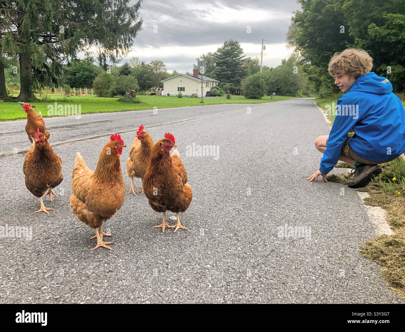 Garçon avec des poulets Banque D'Images