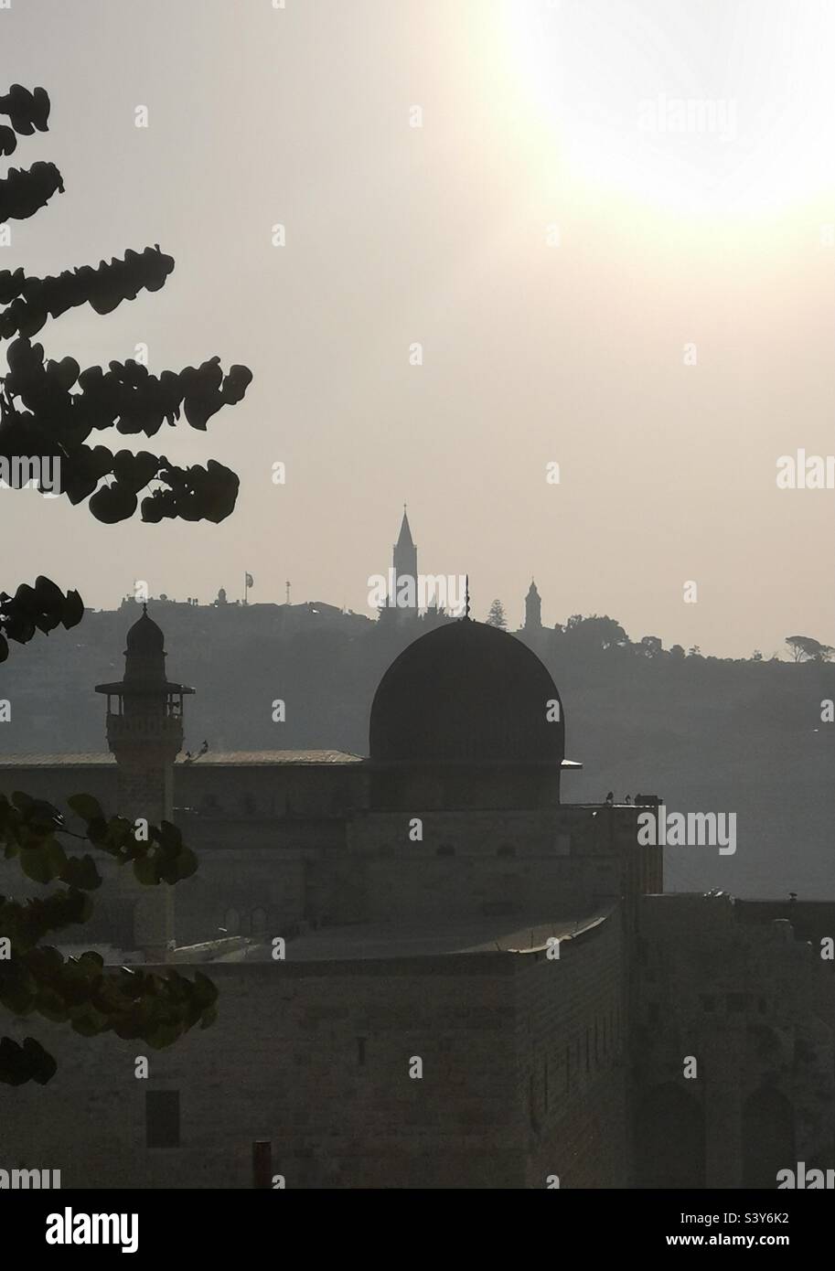 Mosquée Al Aqsa avec montant d'olives derrière elle. - Image de stock capturée avec un smartphone