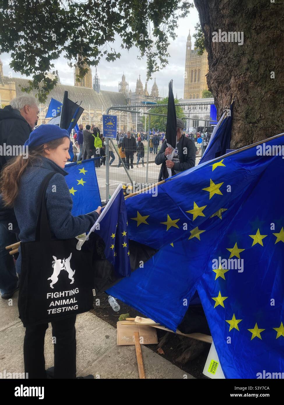Une femme avec un béret regarde les drapeaux étoiles jaunes de l'UE entourant un arbre sur la place du Parlement à Londres à la suite d'une manifestation anti-Brexit. Le sac dit « Fighting Animal Testing ». Le Parlement en arrière-plan, 10/22 - Image de stock capturée avec un smartphone