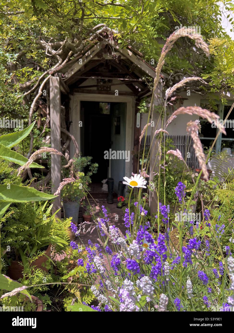 Porche et entrée à la campagne anglaise parfaitement surcultivée cottage en été avec des fleurs Banque D'Images