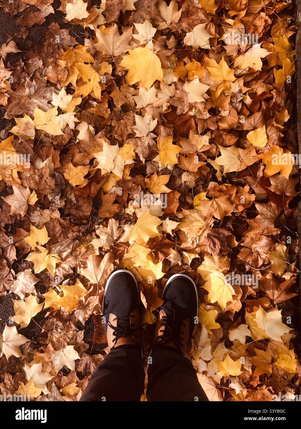 Personne debout sur les feuilles d'automne Banque D'Images